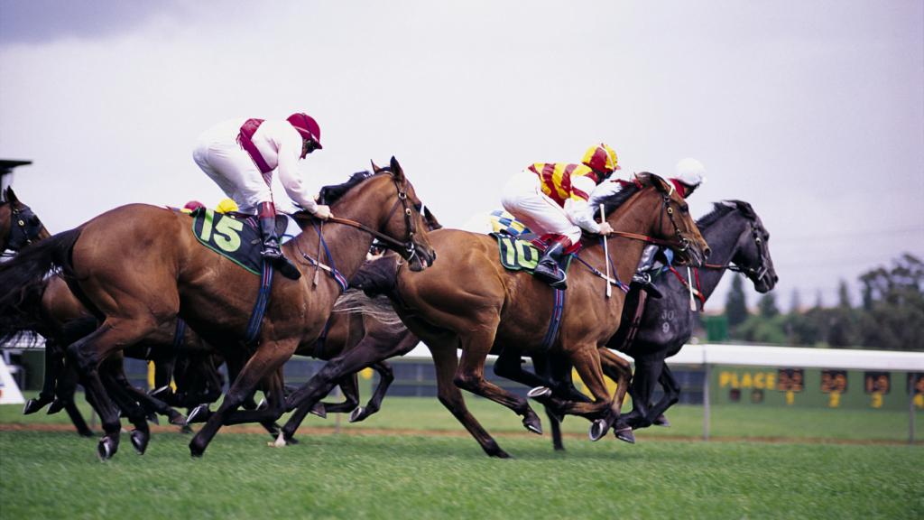 Australian horse racing