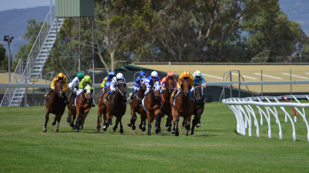 sports horse racing tips today