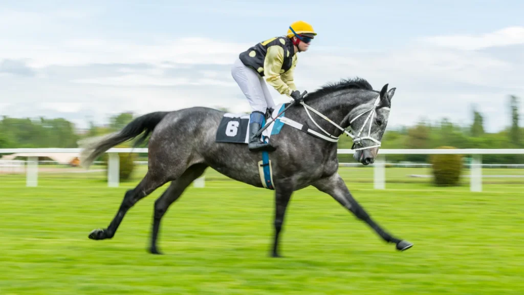 Australian horse racing
