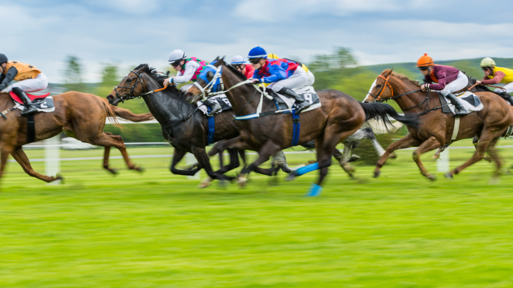 Australian horse racing
