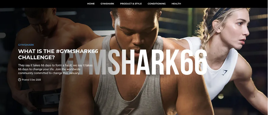 Make Money in Fitness Online