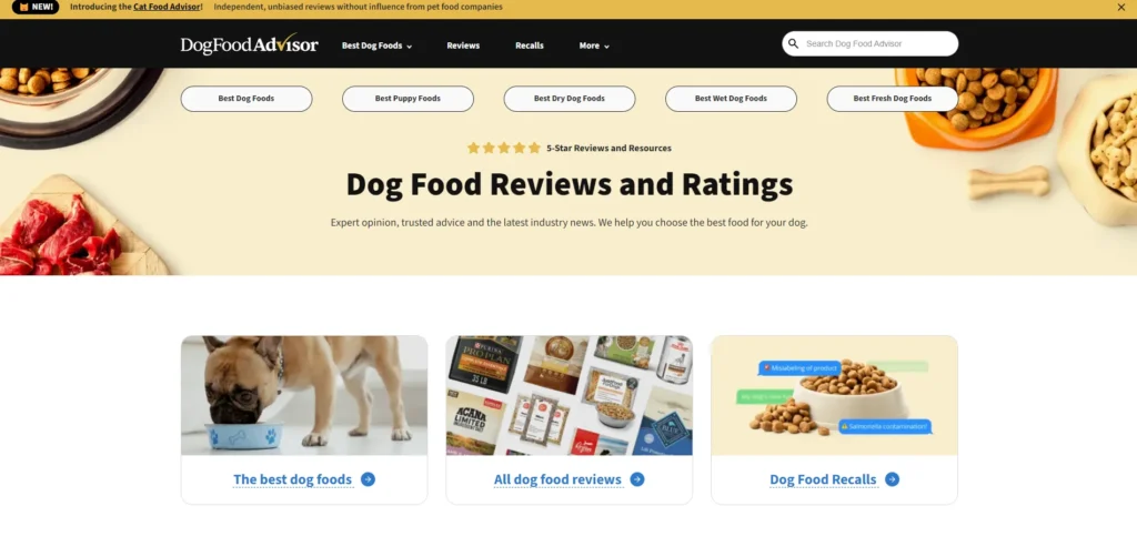 Affiliate Marketing Examples