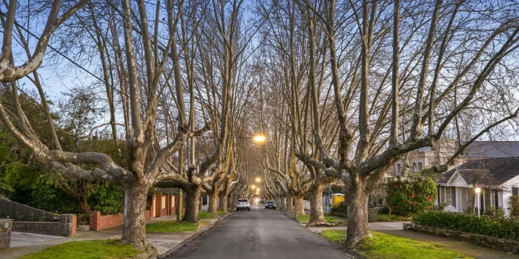 rich Melbourne suburb - Canterbury
