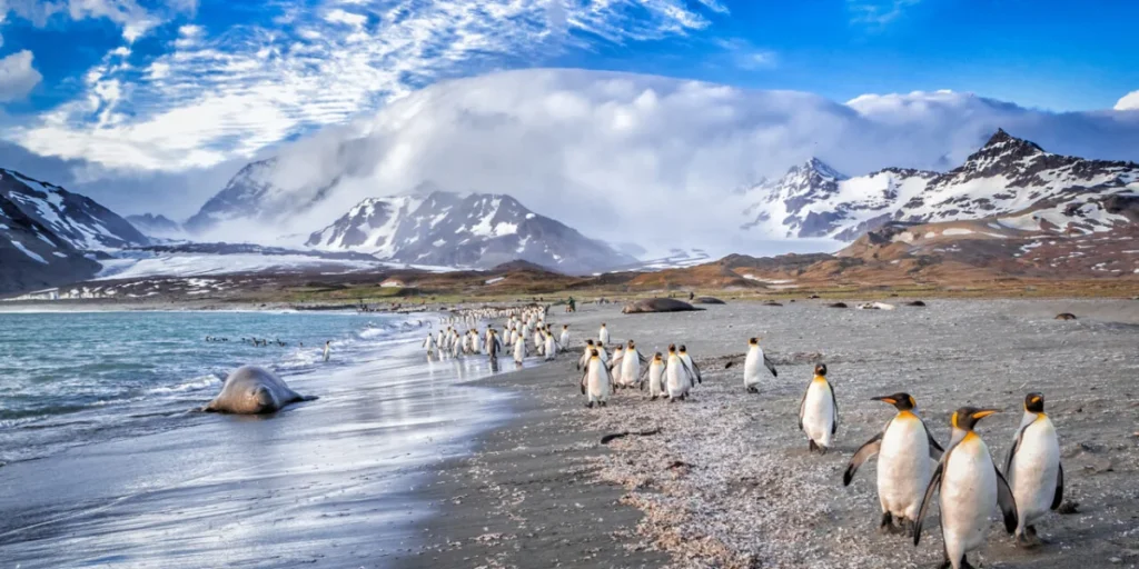 Types of Antarctica cruises available